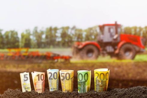 Bando investimenti diversificazione attività agricola